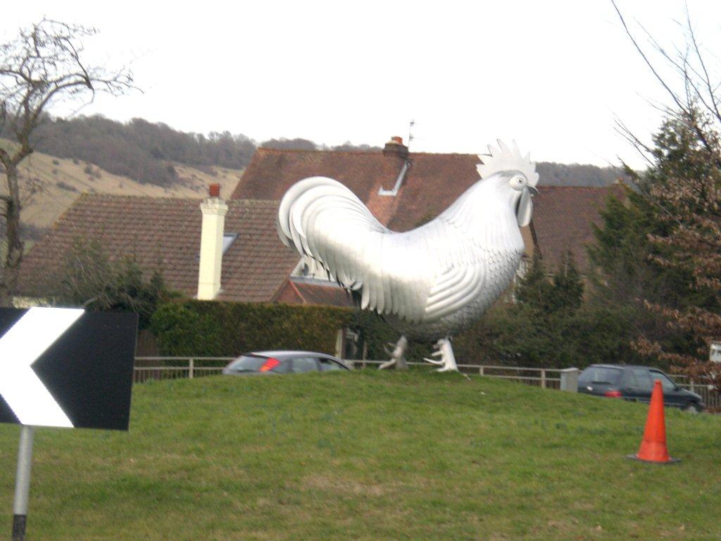 Dorking cock