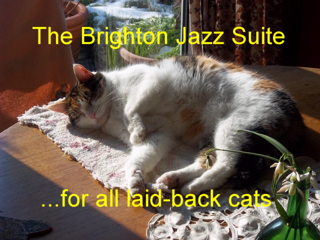 laid-back cat