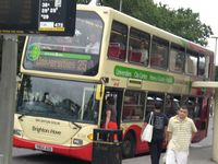 Brighton bus