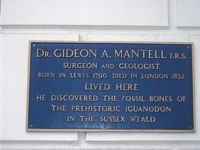 Mantell plaque